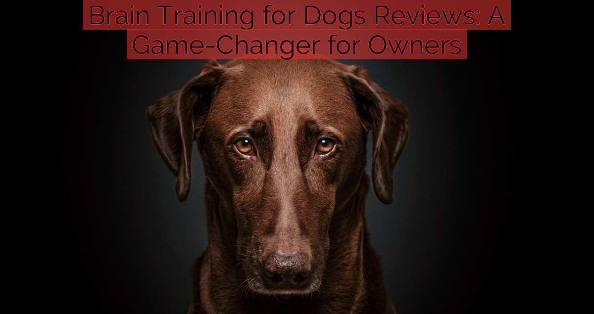 Brain Training for Dogs Reviews: A Game-Changer for Owners