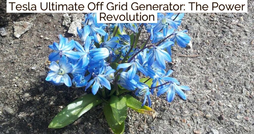 Tesla Ultimate Off Grid Generator: The Power Revolution